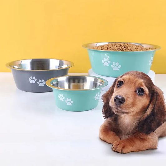 Non-slip Dog Bowls From Small to Large Dogs