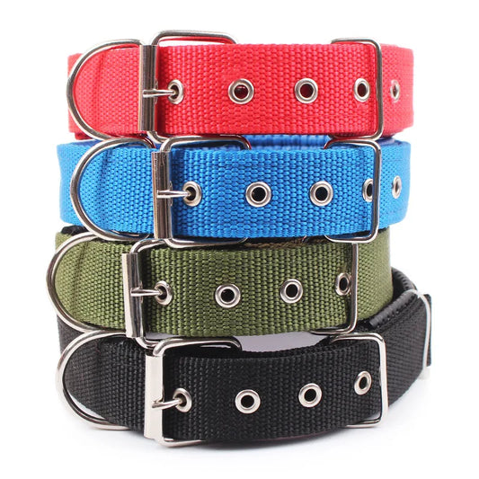 Hardy Dog Collar