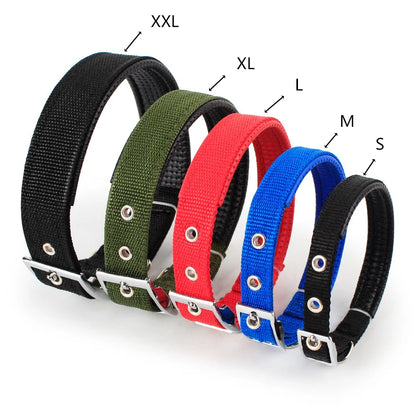 Hardy Dog Collar