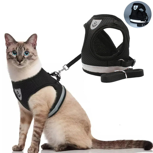 Harness and Leash, Escape Proof