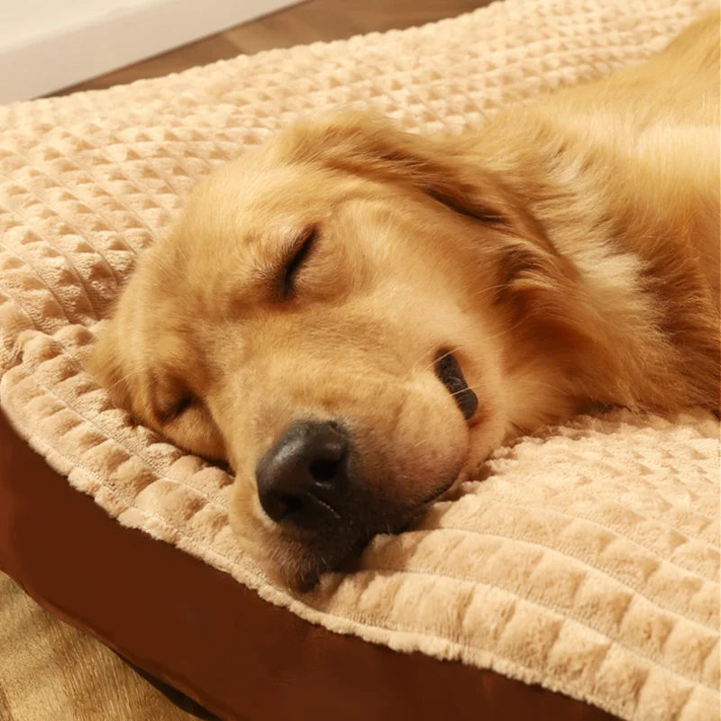 Dogs Deep Sleep Mattress